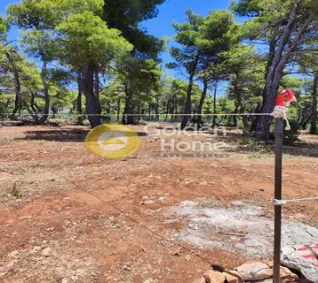 Residential 2000m<sup>2</sup> for sale photo 4657781