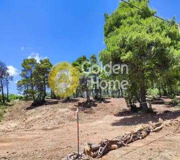 Residential 2000m<sup>2</sup> for sale photo 4657783