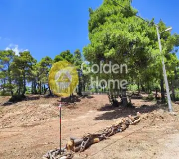 Residential 2000m<sup>2</sup> for sale photo 4657784