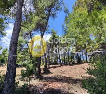 Residential 2000m<sup>2</sup> for sale photo 4657785