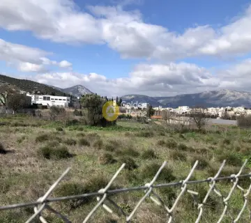 Parcel 3000m<sup>2</sup> for rent photo 4