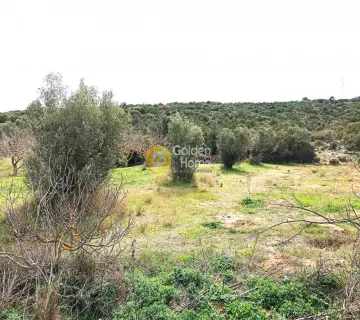 Parcel 2278m<sup>2</sup> for sale photo 4