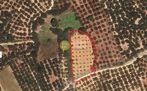 Parcel 7490m<sup>2</sup> for sale photo 4666274