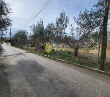 住宅 1192m<sup>2</sup> for sale photo 2