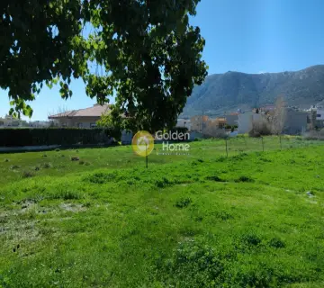 Οικιστικό 1310τ.μ. προς πώληση φωτογραφία 6