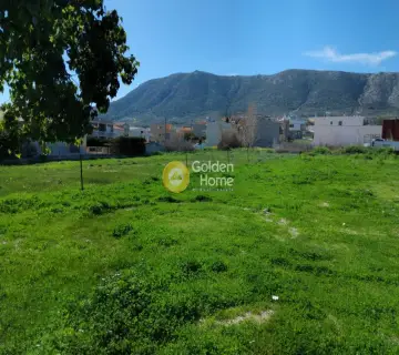 Οικιστικό 1310τ.μ. προς πώληση φωτογραφία 2