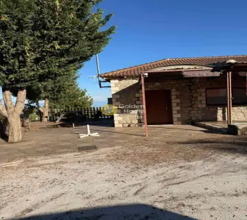 Επαγγελ. Οικόπεδο 3142τ.μ. προς πώληση φωτογραφία 3