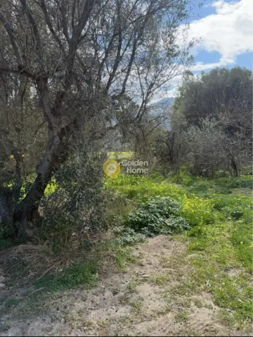 住宅 322m<sup>2</sup> for sale photo 2
