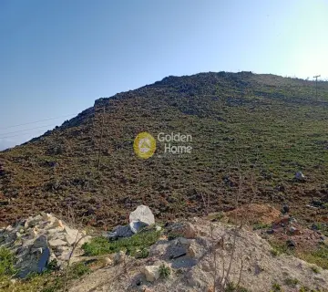 Area 96000m<sup>2</sup> for sale photo 3