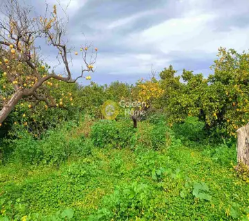 Residential 883m<sup>2</sup> for sale photo 5