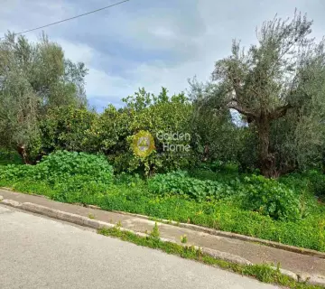 Residential 883m<sup>2</sup> for sale photo 3