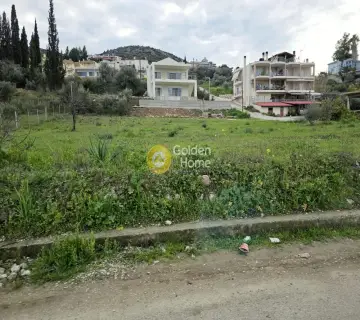 Residential 1800m<sup>2</sup> for sale photo 4