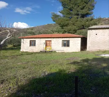 Home 53m<sup>2</sup> for sale photo 4