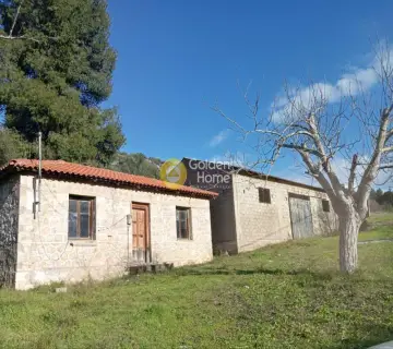 Home 53m<sup>2</sup> for sale photo 5