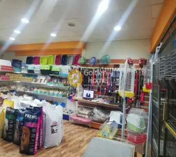 Golden Home Property Image