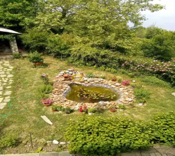 Golden Home Property Image