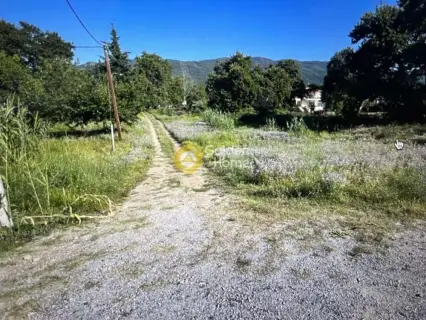 住宅 720m<sup>2</sup> for sale photo 4686409