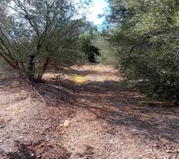Parcel 1288m<sup>2</sup> for sale photo 4687601
