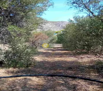 Parcel 1288m<sup>2</sup> for sale photo 4687600
