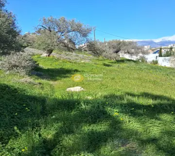 Residential 1271m<sup>2</sup> for sale photo 1