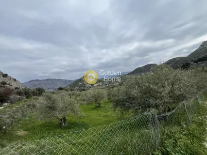 Οικιστικό 3300τ.μ. προς πώληση φωτογραφία 4688716