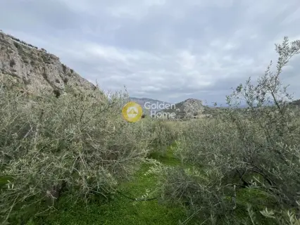 Οικιστικό 3300τ.μ. προς πώληση φωτογραφία 4688717