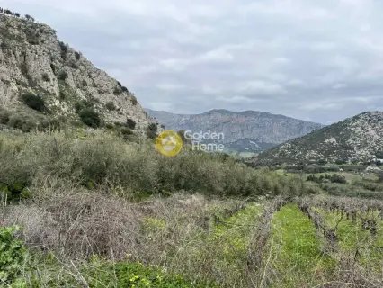 Οικιστικό 3300τ.μ. προς πώληση φωτογραφία 4688719