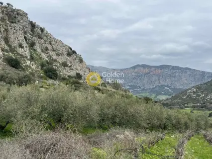 Οικιστικό 1180τ.μ. προς πώληση φωτογραφία 2