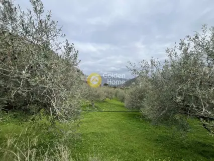 Οικιστικό 1180τ.μ. προς πώληση φωτογραφία 5