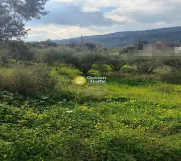 Οικιστικό 1135τ.μ. προς πώληση φωτογραφία 1
