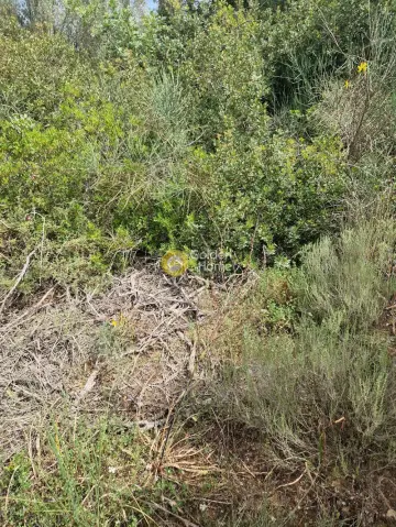 Οικιστικό 5800τ.μ. προς πώληση φωτογραφία 4714612
