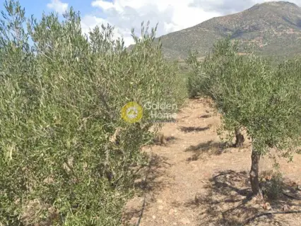 Residential 1373m<sup>2</sup> for sale photo 4708303