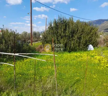 Residential 310m<sup>2</sup> for sale photo 4695024