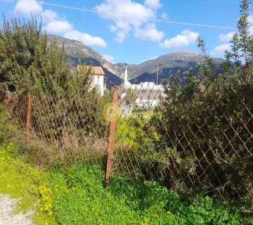 Residential 310m<sup>2</sup> for sale photo 4695024