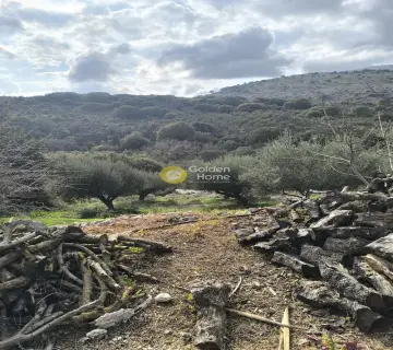 Οικιστικό 7500τ.μ. προς πώληση φωτογραφία 1