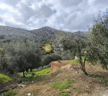 Οικιστικό 7500τ.μ. προς πώληση φωτογραφία 3