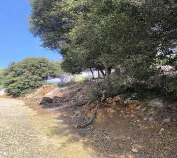 Οικιστικό 25000τ.μ. προς πώληση φωτογραφία 12