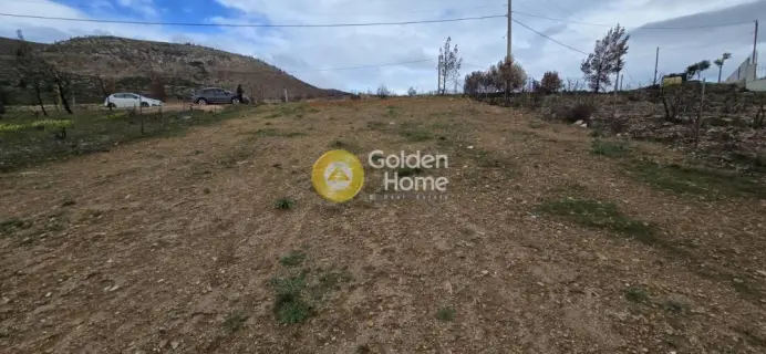 Residential 500m<sup>2</sup> for sale photo 4