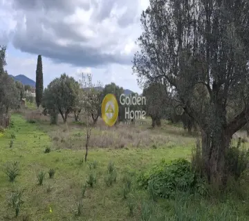 Οικιστικό 7573τ.μ. προς πώληση φωτογραφία 4701274