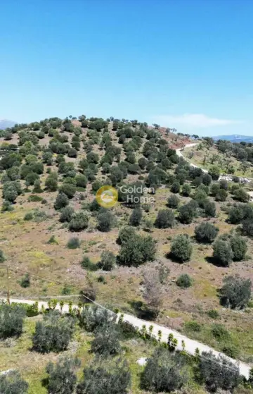 Parcel 19000m<sup>2</sup> for sale photo 4705584