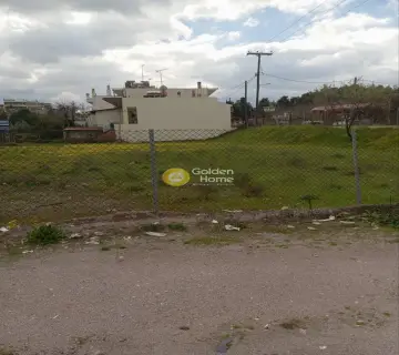 Residential 700m<sup>2</sup> for sale photo 3