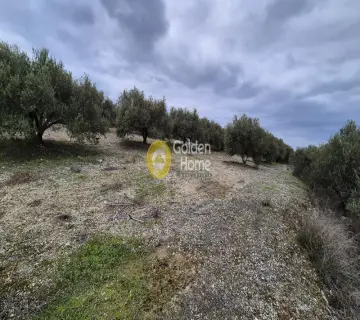 Residential 2500m<sup>2</sup> for sale photo 9