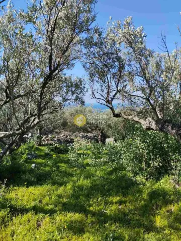 Residential 918m<sup>2</sup> for sale photo 2