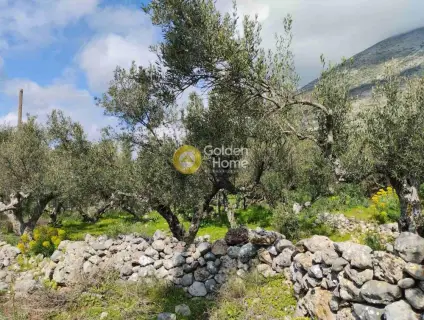 Residential 918m<sup>2</sup> for sale photo 7