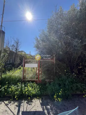 Residential 262m<sup>2</sup> for sale photo 1