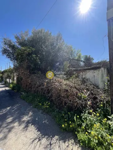 Residential 262m<sup>2</sup> for sale photo 3