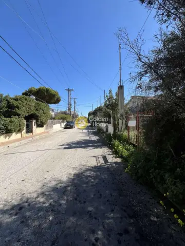 Residential 262m<sup>2</sup> for sale photo 5