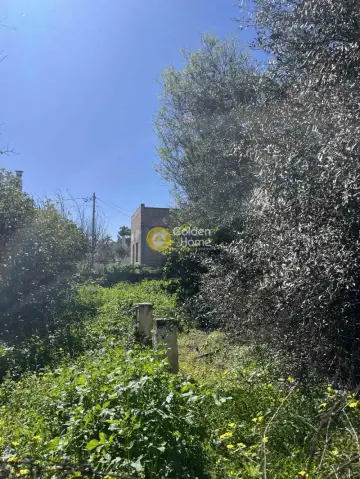 Residential 262m<sup>2</sup> for sale photo 4