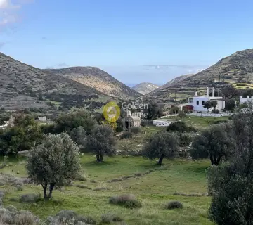 Golden Home Property Image