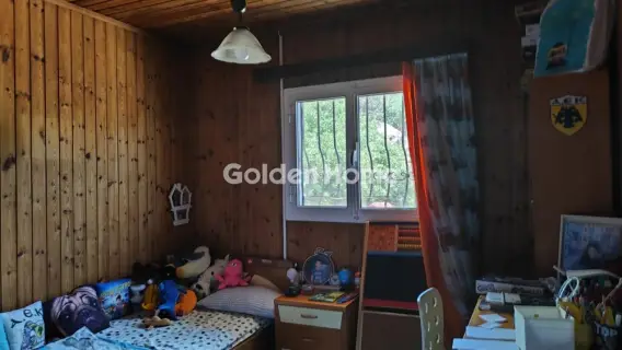 Μονοκατοικία 170τ.μ. προς πώληση φωτογραφία 10
